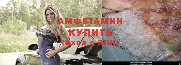 шишки Аркадак