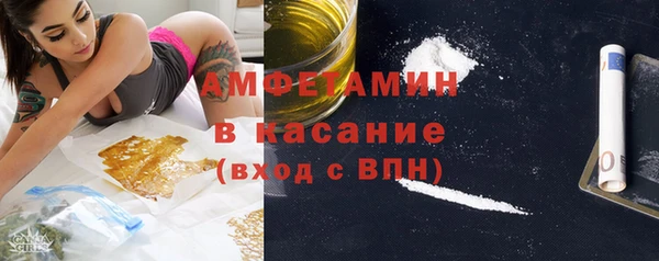 шишки Аркадак