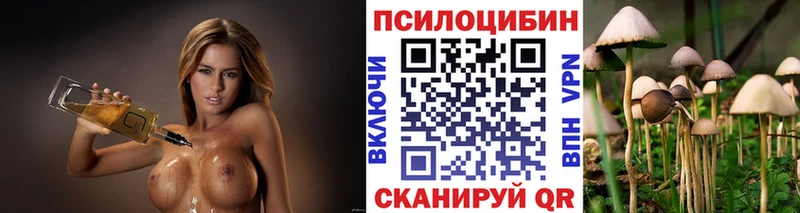 Псилоцибиновые грибы Psilocybe  где купить наркоту  Таруса 