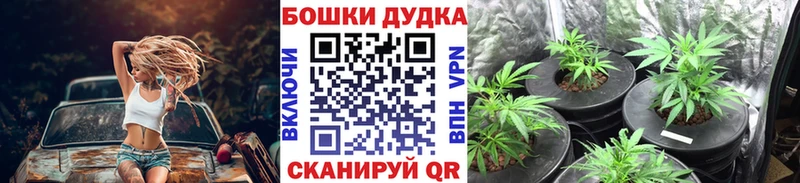 где купить наркоту  Таруса  Конопля семена 